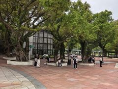 -石排湾郊野公园