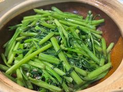-熠盛粤味·顺德桑拿鸡(永康路店)