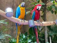 -杭州开元森泊度假乐园