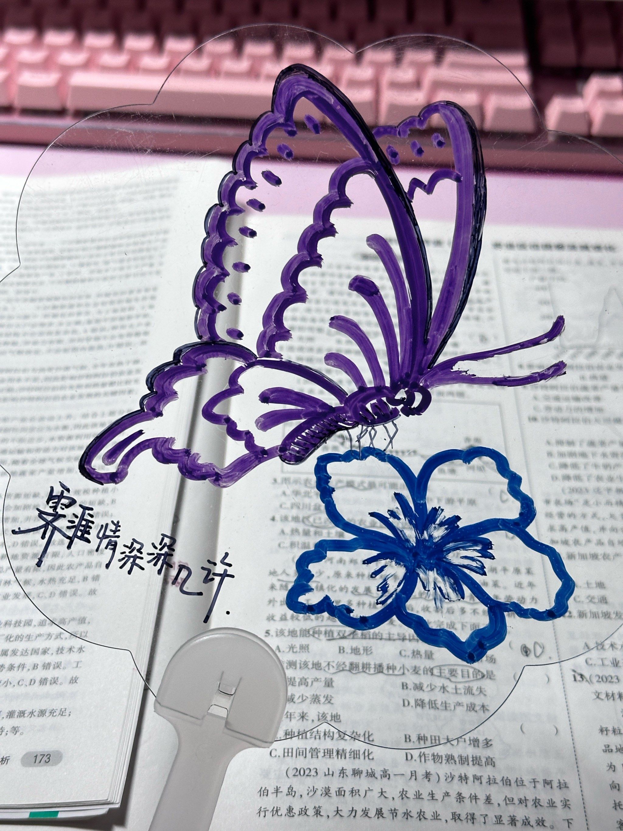 庄周梦蝶🦋