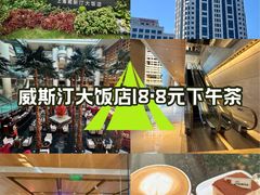 -上海威斯汀大饭店