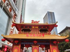 -越秀西湖花市(广州城市广场花卉店)