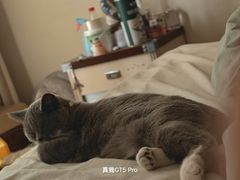-关爱宠物医院·猫科中心·消化科(滨湖万达分院)