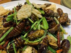 -快乐老家三鲜饺子东北菜(南六中路店)