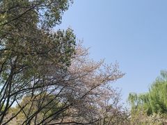 -范蠡湖公园