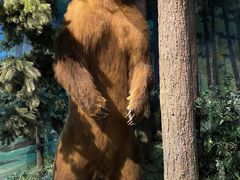 -陕西自然博物馆