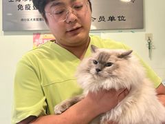 -艾吉宠物医院·疑难杂症转诊中心·猫友好(碧江路院)