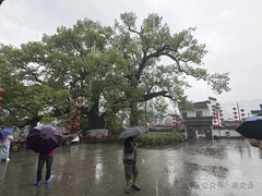 -新安江山水画廊风景区