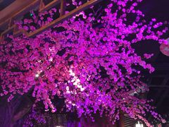 -韵秋荷(宝山龙湖天街店)