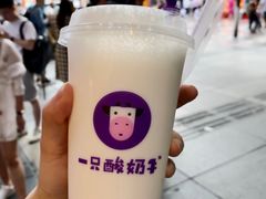 -一只酸奶牛(八一路店)
