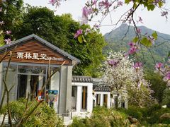 -南丹山森林王国