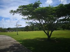 -美国纪念公园