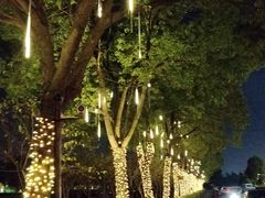 -上海虹桥西郊假日酒店