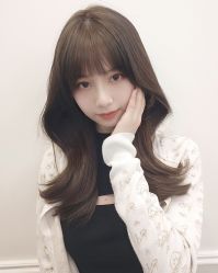 -YESIDO椰岛造型