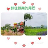 这里太好玩了