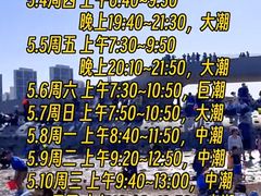 -天津东疆湾沙滩景区