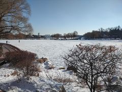 -长春市南湖公园