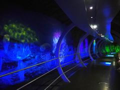 -中国西峡恐龙遗迹园