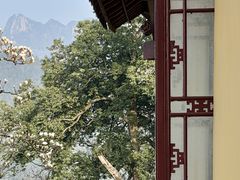 -九华山风景区