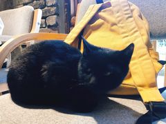 -驿舍·民國老营房院子私房菜(科学会堂店)