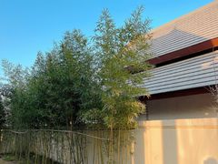 -郑州银基黄帝宫御温泉