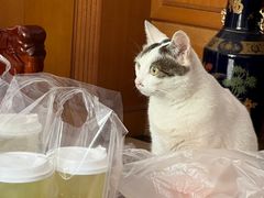 -金山锅贴店(金泉路店)