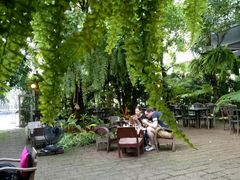 -Fern Forest Cafe