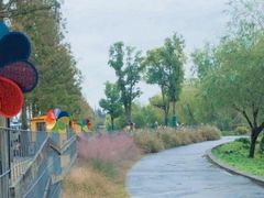 -前小桔亲子创意农场·草莓采摘·露营烧烤