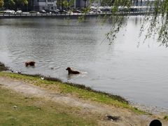 -美兰湖景区
