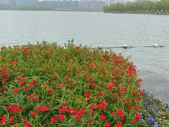 -天鹅湖体育公园