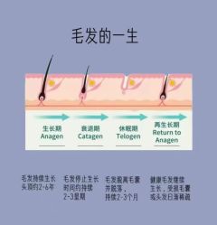 -天其美科学美肤·生发健康管理