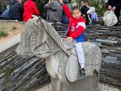 -上海佘山国家森林公园西佘山园