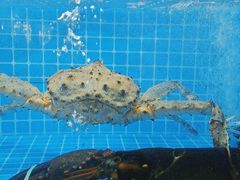 -鑫紫玉食府·巴特私房菜