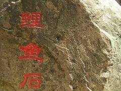-大明山自然探索公园