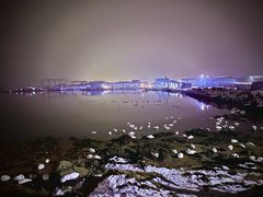 -烟墩角天鹅湖