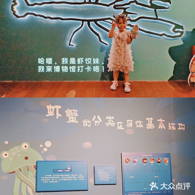 广州探馆|夏日遛娃好去处|免费带娃科普虾蟹知识  
