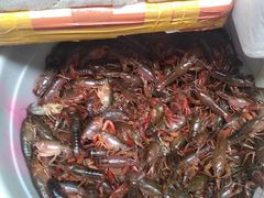 -青石桥市场北1-27号