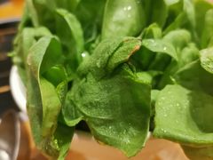 茼蒿-功牛泉州牛肉小吃(崇武店)