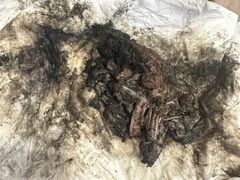 -御面斋精品面馆