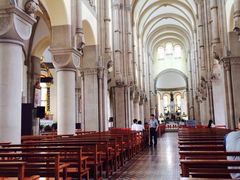 -上海佘山国家森林公园西佘山园