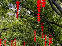 -广州市白云山风景名胜区