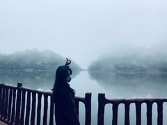 -广州市石门国家森林公园