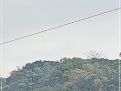 -青芝山风景名胜区