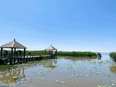 景点-哈素海
