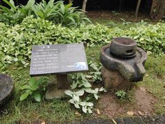-海口火山口国家地质公园