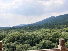 -灵谷景区