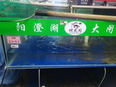-阳澄湖大闸蟹·琼灵阁牌品牌连锁(吴中总店)