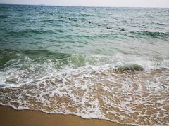 -玫瑰海岸文化旅游度假区