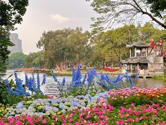 -荔湾湖公园