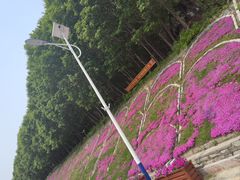-吉林拉法山